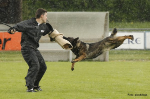 7-LAENDERKAMPF 2011